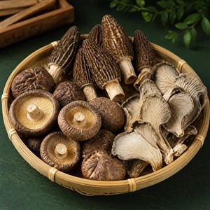 干菌菇分类图